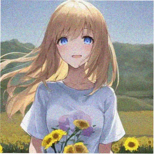 追番少年